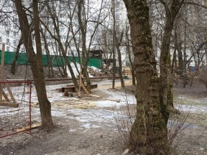 IMG_20140222_142625(1)