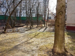 IMG_20140322_132212