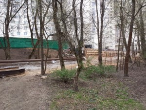 IMG_20140422_082347