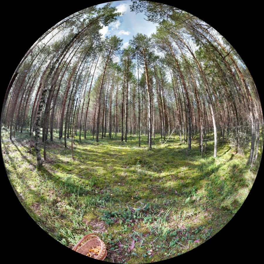 PANO_20140823_120858