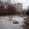 IMG_20150303_131358
