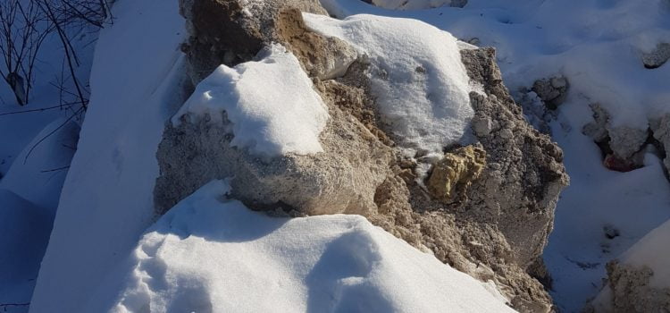 Особо охраняемая свалка